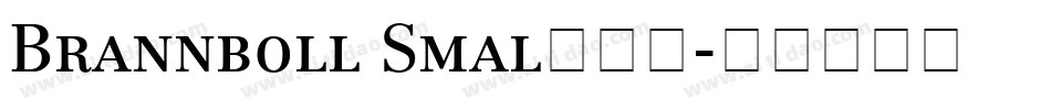 Brannboll Smal转换器字体转换